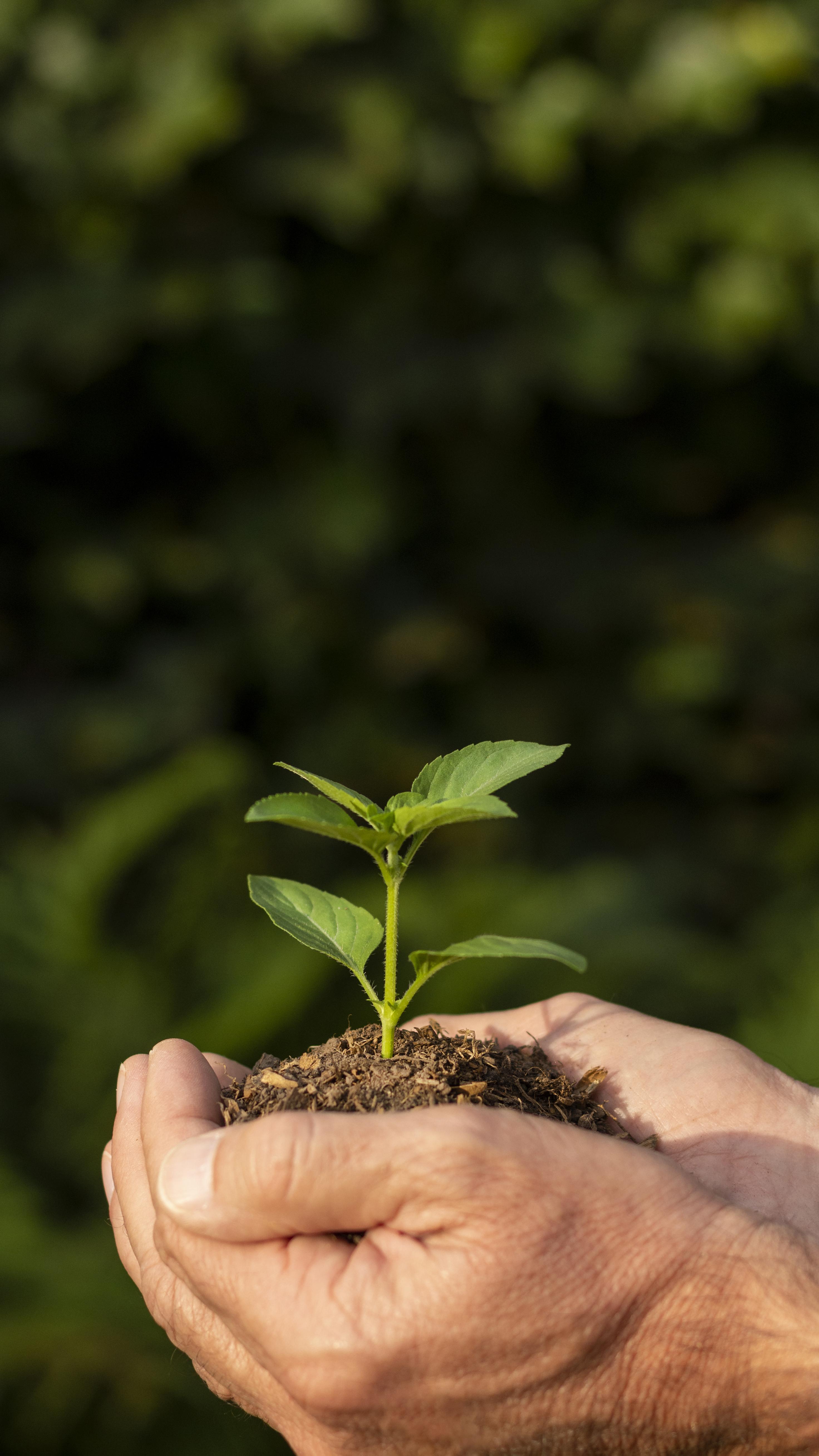Direito Ambiental